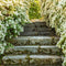 Kate Chemin Fleurs épanouies Printemps Vert Toile de fond conçue par Emetselch - Kate Backdrop FR
