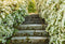 Kate Chemin Fleurs épanouies Printemps Vert Toile de fond conçue par Emetselch - Kate Backdrop FR