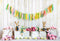 Kate Printemps Pâques Lapin Fleur Mur en Bois Toile de fond conçue par Emetselch - Kate Backdrop FR