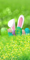 Kate Sweep Mur-à-Sol Printemps Pâques Oeufs Lapin Bokeh Toile de fond conçue par Chain Photography - Kate Backdrop FR