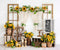 Kate Tournesol Été Ferme Printemps Boho Toile de fond Conçu par Emetselch - Kate Backdrop FR