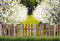 Kate Clôture Arbre Fleurs Printemps Toile de fond pour la photographie - Kate Backdrop FR