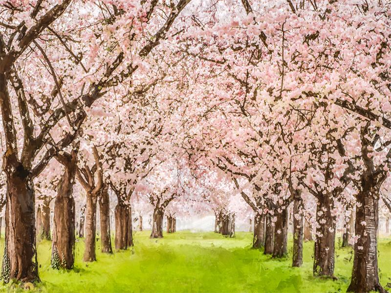 Kate Printemps Fleurs Rose Arbre Prairie Toile de fond pour la photographie - Kate Backdrop FR