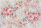 Kate Fleurs Rose Printemps Fête des mères Toile de fond pour la photographie - Kate Backdrop FR