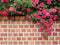 Mur de briques vintage en toile de fond de fleurs printanières conçu par Chain Photographie - Kate Backdrop FR
