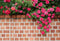 Mur de briques vintage en toile de fond de fleurs printanières conçu par Chain Photographie - Kate Backdrop FR