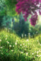 Kate Printemps Prairies Vert Fleurs Arbre Toile de fond pour la photographie - Kate Backdrop FR