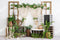 Kate Printemps Bohème Vert Plante Été Toile de fond conçue par Uta Mueller Photographie - Kate Backdrop FR