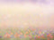 Kate Bokeh extérieur de printemps Toile de fond conçue par Chain Photographie - Kate Backdrop FR