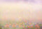 Kate Bokeh extérieur de printemps Toile de fond conçue par Chain Photographie - Kate Backdrop FR