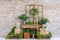 Kate Plante Printemps Mur de briques Vert Toile de fond conçu par Emetselch - Kate Backdrop FR