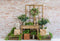 Kate Plante Printemps Mur de briques Vert Toile de fond conçu par Emetselch - Kate Backdrop FR