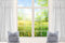 Kate Paysage Printemps Rideau Fenêtre Blanc Plantes vertes Toile de fond pour la photographie - Kate Backdrop FR