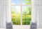 Kate Paysage Printemps Rideau Fenêtre Blanc Plantes vertes Toile de fond pour la photographie - Kate Backdrop FR