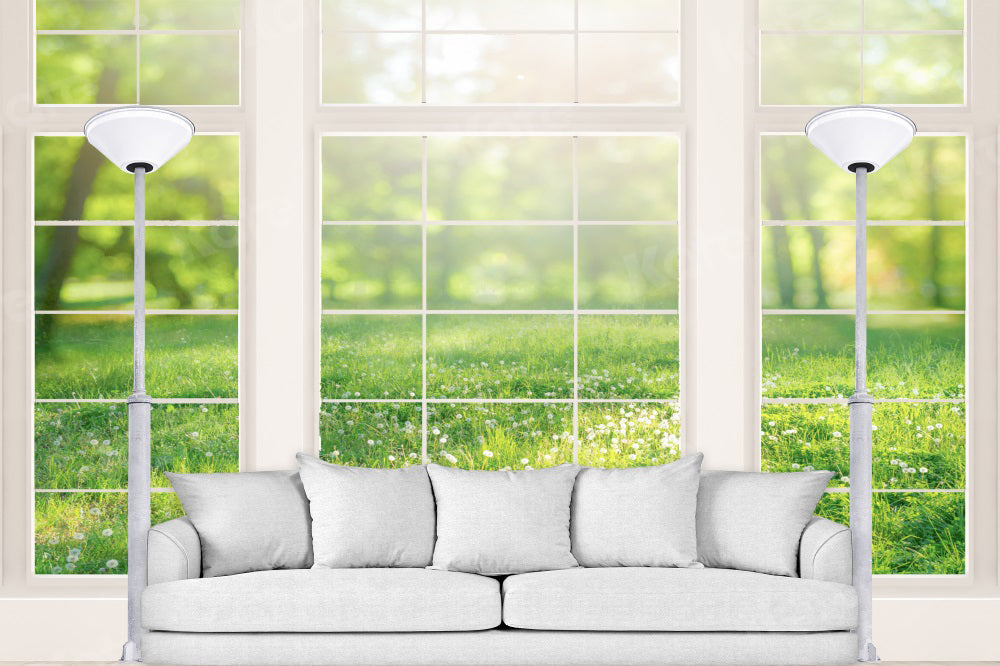 Kate Printemps Canapé Intérieur Fenêtre Plantes vertes Toile de fond pour la photographie - Kate Backdrop FR
