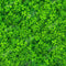 Kate Printemps Saint-Patrick Trèfle Pelouse Vert Toile de fond conçue par Kate Image - Kate Backdrop FR