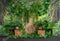 Kate Plantes Verte Printemps Été Toile de fond conçue par Emetselch - Kate Backdrop FR