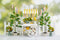 Kate Chariot Extérieur Citron Printemps Été Toile de fond conçue par Emetselch - Kate Backdrop FR