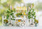 Kate Chariot Extérieur Citron Printemps Été Toile de fond conçue par Emetselch - Kate Backdrop FR