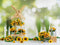 Kate Fleurs Extérieur Tournesol Printemps Été Toile de fond conçue par Emetselch - Kate Backdrop FR