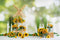 Kate Fleurs Extérieur Tournesol Printemps Été Toile de fond conçue par Emetselch - Kate Backdrop FR