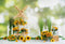 Kate Fleurs Extérieur Tournesol Printemps Été Toile de fond conçue par Emetselch - Kate Backdrop FR