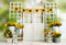 Kate Été Fenêtre Tournesols Porte Toile de fond conçue par Emetselch - Kate Backdrop FR