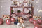Kate Saint-Valentin Doré Rose Toile de fond conçue par Mandy Ringe - Kate Backdrop FR