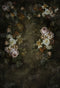 Kate toile de fond boudoir fleurs vintage pour la photographie - Kate Backdrop FR