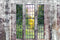 Kate Printemps Mur Vintage Extérieur Fenêtre Toile de fond conçue par Chain Photographie - Kate Backdrop FR