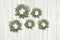 Kate Toile de fond en bois blanc Plantes vertes pour la photographie - Kate Backdrop FR