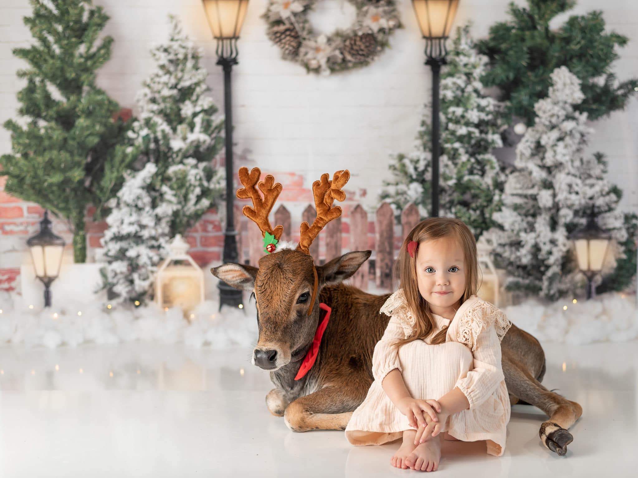 Kate Xmas Jardin de Noël de toile de fond avec des lumières conçu par Emetselch