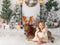 Kate Noël Jardin Lampadaire Arbres Toile de fond conçu par Emetselch - Kate Backdrop FR