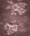 Kate Fleurs Abstrait Texture Fête des mères Toile de fond conçue par GQ - Kate Backdrop FR