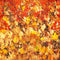Kate Feuille d'érable Automne Toile de fond pour la photographie - Kate Backdrop FR