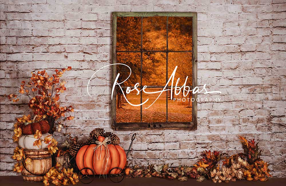 Kate citrouille de toile de fond de fenêtre d'automne conçue par Rose Abbas - Kate Backdrop FR
