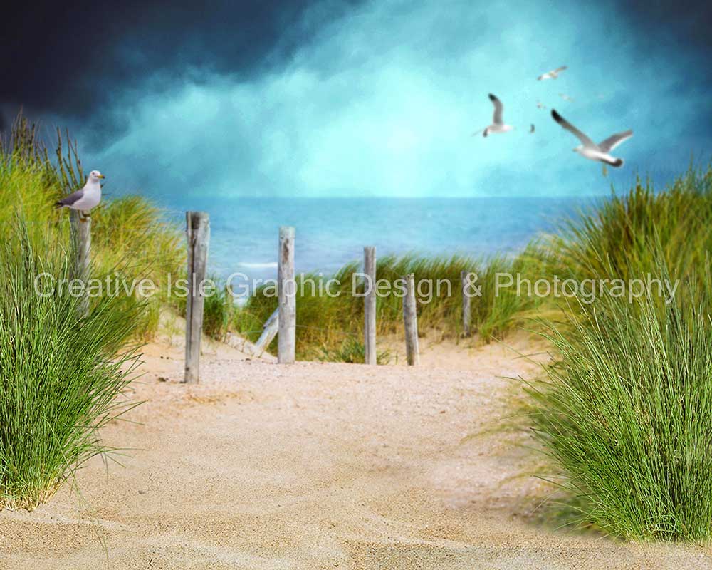 Kate Chemin Plage Pigeon Herbe Vert Toile de fond Conçu par Chrissie Green - Kate Backdrop FR