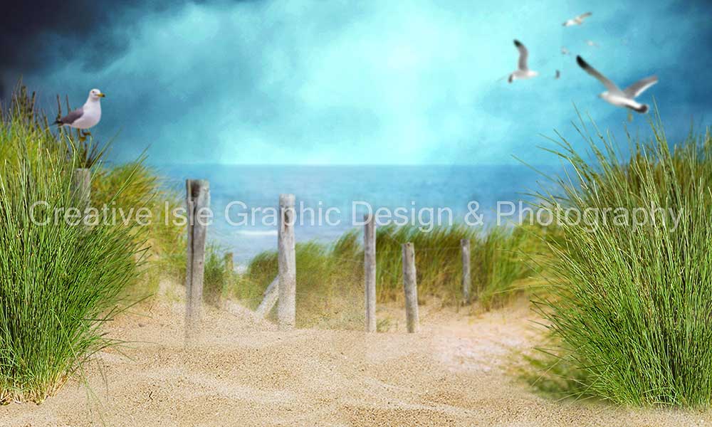 Kate Chemin Plage Pigeon Herbe Vert Toile de fond Conçu par Chrissie Green - Kate Backdrop FR