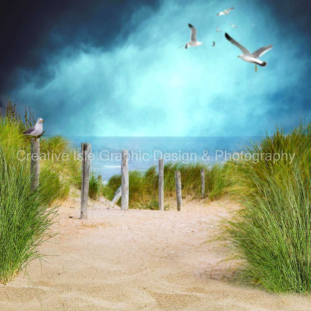 Kate Chemin Plage Pigeon Herbe Vert Toile de fond Conçu par Chrissie Green - Kate Backdrop FR