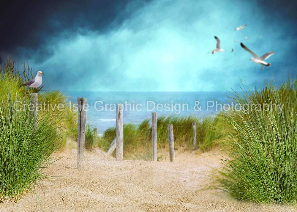 Kate Chemin Plage Pigeon Herbe Vert Toile de fond Conçu par Chrissie Green - Kate Backdrop FR