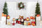 Kate Noël Blanc Porte Cadeaux Neige Toile de fond conçu par Emetselch - Kate Backdrop FR