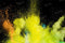 Kate Peinture éclaboussante Jaune Toile de fond pour la photographie - Kate Backdrop FR