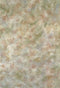 Kate toile de fond abstraite de fleur pour la photographie - Kate Backdrop FR