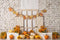 Kate Citrouilles Automne Paillettes Toile de fond conçue par Mandy Ringe - Kate Backdrop FR
