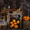 Kate Toile d'araignée Halloween Automne Mur en bois Toile de fond conçue par Emetselch - Kate Backdrop FR