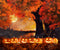 Kate Automne Citrouille Halloween Nuit Arbre Toile de fond pour la photographie - Kate Backdrop FR