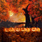 Kate Automne Citrouille Halloween Nuit Arbre Toile de fond pour la photographie - Kate Backdrop FR