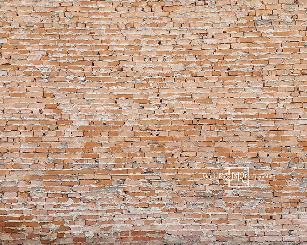 Kate Toile de fond de briques inégales légères conçue par Mandy Ringe Photographie