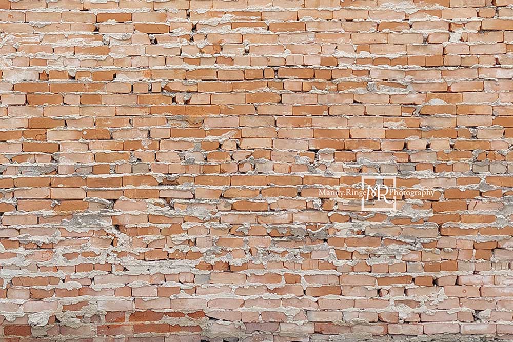 Kate Toile de fond de briques inégales légères conçue par Mandy Ringe Photographie