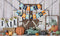 Kate Petite Citrouille Anniversaire Automne Toile de fond conçue par Mandy Ringe - Kate Backdrop FR